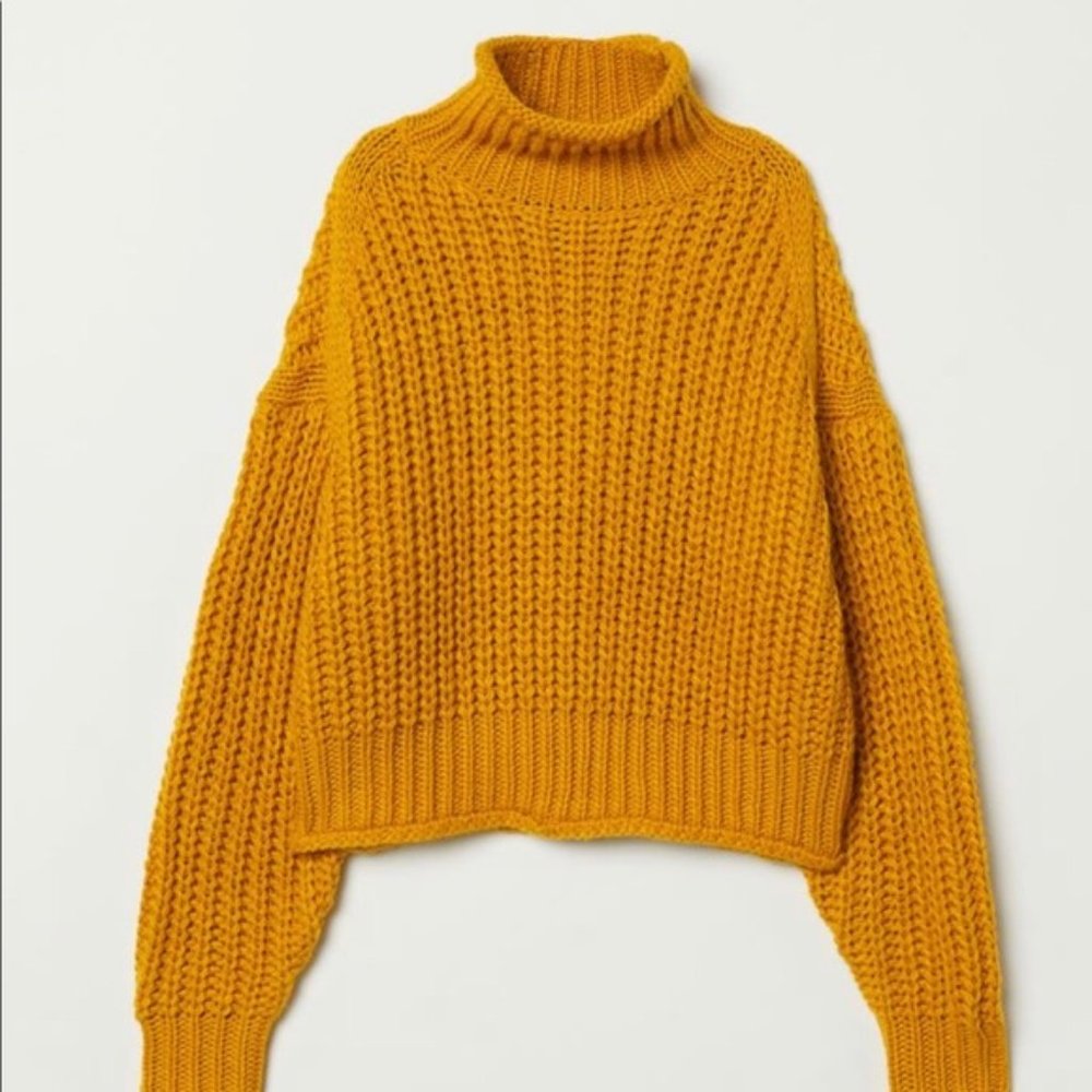 Chunky Turtleneck Cropped Knit Sweater